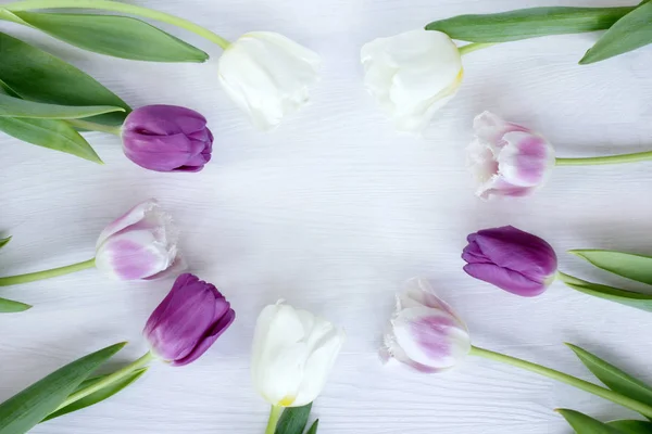 봄 꽃무늬 — 스톡 사진