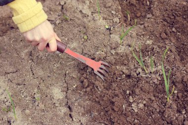 Bahçede bahar işliyor.