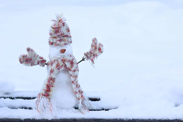 Joyeuse célébration des vacances d'hiver — Photo