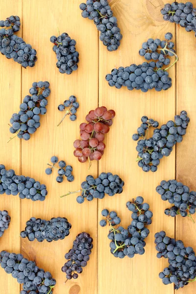 Colheita de outono para o futuro vinho — Fotografia de Stock