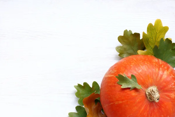 Bodegón de otoño — Foto de Stock