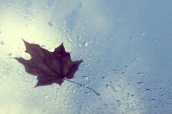 Tempo de outono molhado — Fotografia de Stock