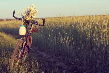 Temiz havada yaz yürüyüşü