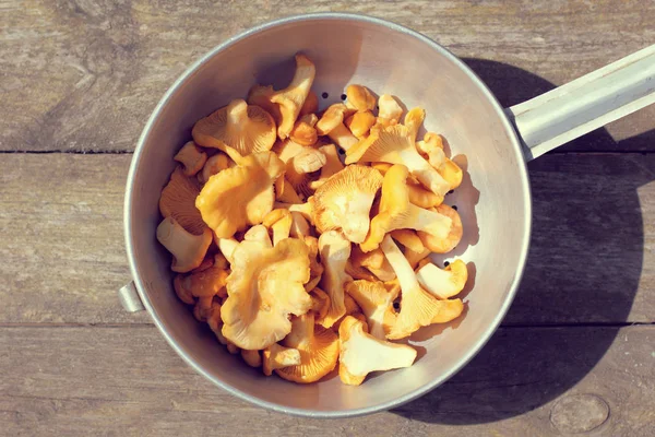 Chanterelles apetitosos de prato de delicadeza — Fotografia de Stock