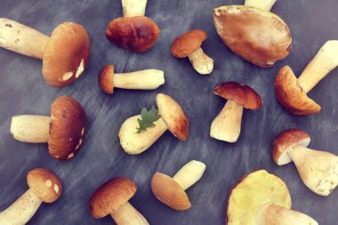 sonbahar orman lezzetleri