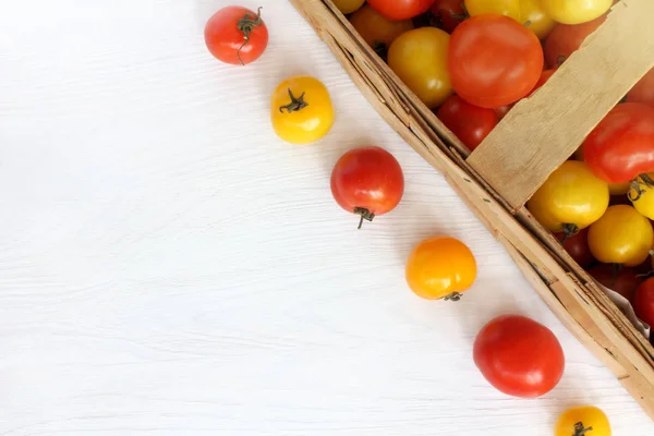 Cosecha otoñal de verduras maduras — Foto de Stock