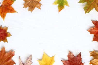 sonbahar tarzında çerçeve