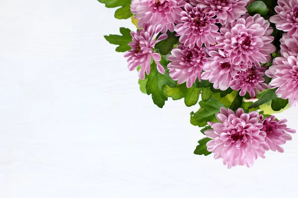 Festive floral greeting — Stock Photo, Image