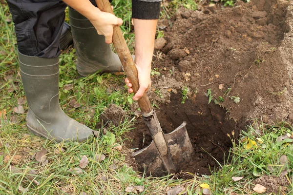 Beredning av höstmark för plantering av växter — Stockfoto