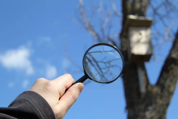 Hand Magnifying Glass Background Blurry Tree Silhouette Birdhouse Search Advantageous — Stock Photo, Image