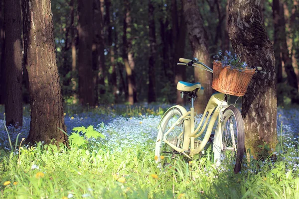 Wiklinowy Kosz Niebieskimi Kwiatami Rowerze Stojącym Pośród Słonecznej Leśnej Polany — Zdjęcie stockowe