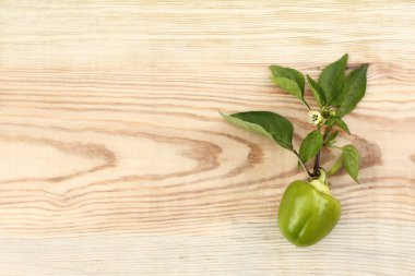 Yapraklı yeşil biberin meyvesi ve ahşap masa üstü manzaralı bir çiçek / taze doğal sebze