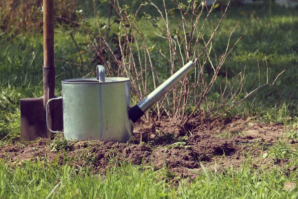 Regadera Metal Una Pala Contra Telón Fondo Arbusto Grosella Jardín —  Fotos de Stock