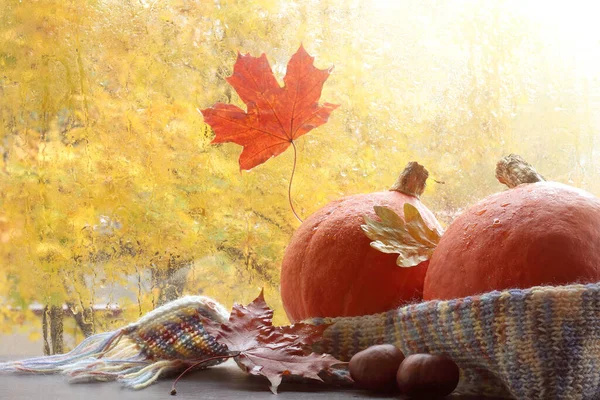 Dos Calabazas Están Envueltas Una Bufanda Decoradas Con Hojas Caídas — Foto de Stock