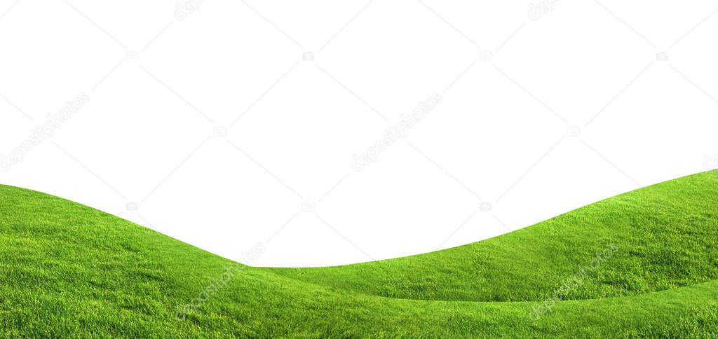 Green grass texture for background isolated on white background with clipping path.