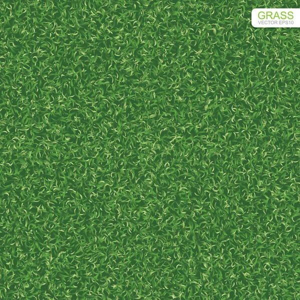 Groen Gazon Gras Textuur Patroon Voor Achtergrond Vectorillustratie — Stockvector