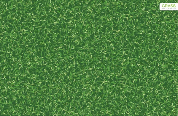 Verde Naturaleza Césped Hierba Textura Patrón Para Fondo Ilustración Vectorial — Archivo Imágenes Vectoriales