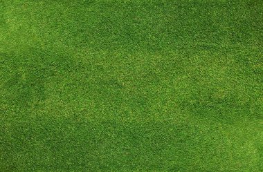 Yeşil doğal çime desen ve doku arka planı için.