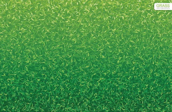 Verde Naturaleza Césped Hierba Textura Patrón Para Fondo Ilustración Vectorial — Vector de stock