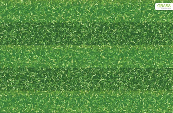 緑の草のパターンは サッカー場 サッカー場 ラグビー フットボール フィールド背景のテクスチャ ベクトル図 — ストックベクタ
