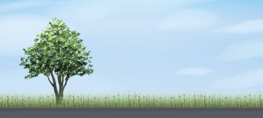 Yalnız ağaç ve yeşil yol alanı mavi gökyüzü ve bulutlar arka plan ile alanı. Açık doğal arka plan. Doğal madde hem baskı ve Web için kullanın. Vektör çizim.