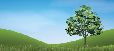 Yeşil çim hill alan mavi gökyüzü ile ağacında. Arka plan park ve peyzaj fikir için açık. Doğal madde hem baskı ve Web için kullanın. Vektör çizim.