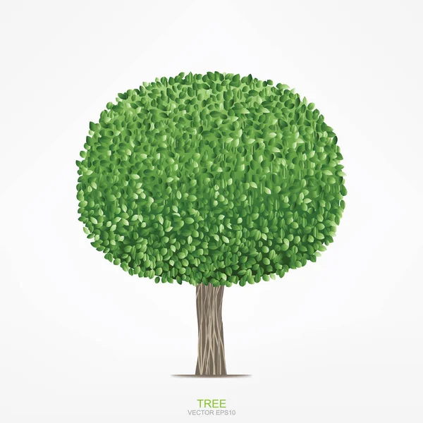 Yeşil ağaç turunda. Süs bitkileri ağaç beyaz arka plan üzerinde Geometri şekli. Vektör çizim.