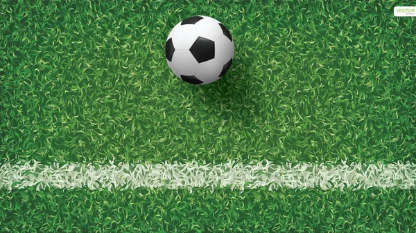 Soccer Football Ball Soccer Field Pattern Texture Background Vector Illustration — Stock Vector