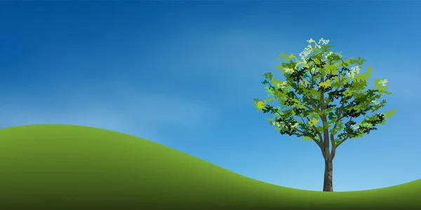Árvore Colina Grama Verde Com Céu Azul Abstrato Parque Fundo — Vetor de Stock