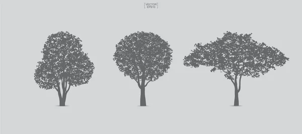 Set Tree Silhouettes Isolated White Background Landscape Design Architectural Compositions — Stock Vector