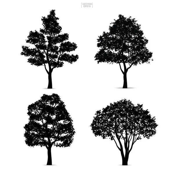 Conjunto Siluetas Árbol Aisladas Sobre Fondo Blanco Para Diseño Del — Vector de stock