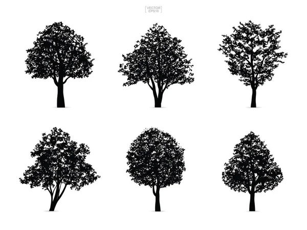 Zestaw Sylwetki Drzewa Białym Tle Białym Tle Krajobrazu Architektury Kompozycje — Wektor stockowy