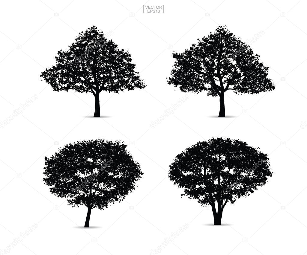 Set of tree silhouettes isolated on white background for landscape design and architectural compositions with backgrounds. Vector illustration.