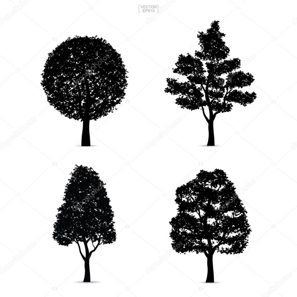 Set of tree silhouettes isolated on white background for landscape design and architectural compositions with backgrounds. Vector illustration.