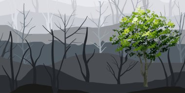 Yeşil ağaç ve orman sis arka plan. Vektör çizim.