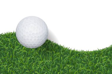 Golf topu ve yeşil çim arka plan kopya alanı için alan ile. Vektör çizim.
