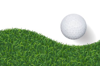 Golf topu ve yeşil çim arka plan kopya alanı için alan ile. Vektör çizim.