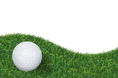 Golf topu yeşil çim doku arka plan üzerinde. Vektör çizim.