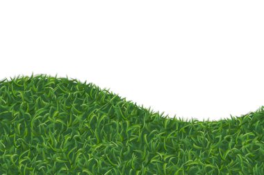 Abstract green grass texture for background. Vector illustration clipart