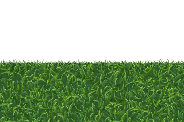 Green Grass Texture Background White Area Copy Space Vector Illustration — Stock Vector