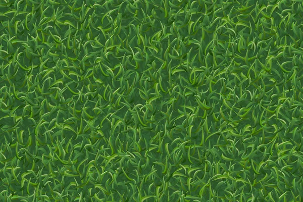 Gazon Gras Patroon Textuur Voor Achtergrond Vectorillustratie — Stockvector