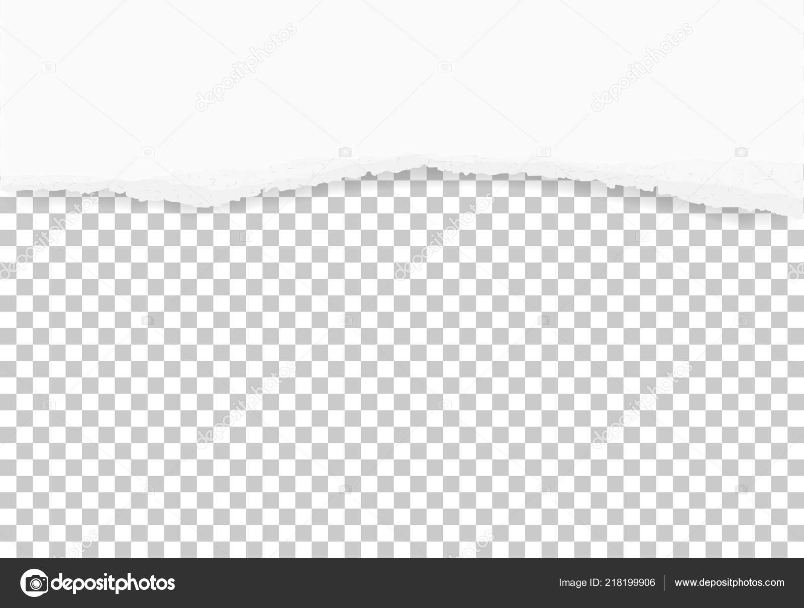 Torn paper edge isolated on transparent background - Vector illustration  Stock Vector