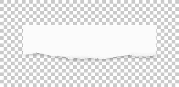 Ripped paper texture. Torn paper edges background. White paper for banner tag background. Vector illustration.