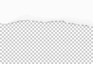 Arka plan için kağıt kenarlı alan kopya alanı için yırtılmış. Kağıt dokusu üzerinde şeffaf arka plan sökük. Vektör çizim.