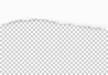 Arka plan için yırtık kağıt kenarları. Şeffaf arkaplanda yırtılmış kağıt dokusu. Vektör illüstrasyonu.