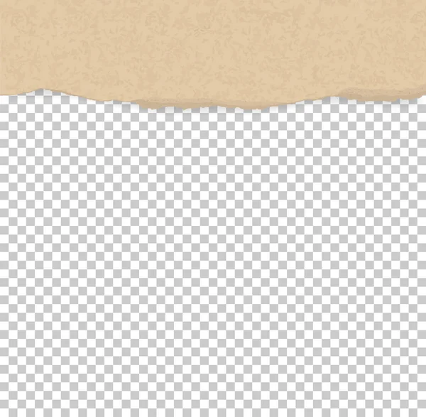 Zerrissene Papierkanten Für Den Hintergrund Zerrissene Braune Papierstruktur Auf Transparentem — Stockvektor