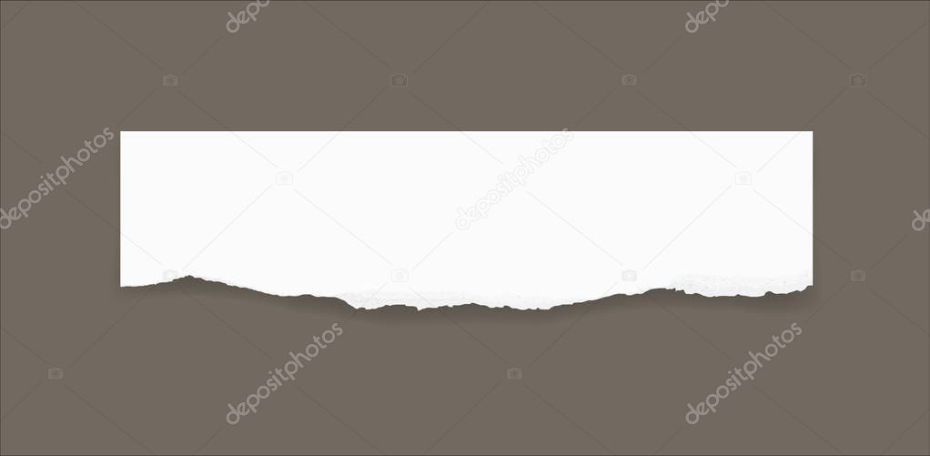 Torn paper edges for background. Ripped paper texture background with area for copy space. Vector illustration.