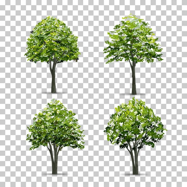 ソフト シャドウで透明な背景に分離されたツリーのコレクションです ベクトル図 — ストックベクタ