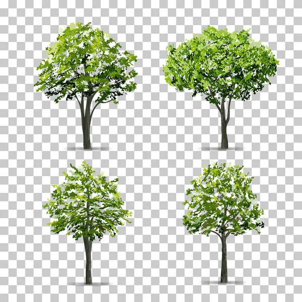 Koleksi Pohon Diisolasi Pada Latar Belakang Transparan Dengan Bayangan Lembut - Stok Vektor