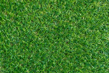 Arka plan için yeşil çim dokusu. Yeşil çim desen ve doku arka plan. üstten görünüm.